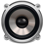 Speaker not working